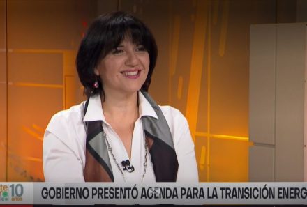 Ana Lía Rojas: “El almacenamiento tiene que ser entendido en una forma amplia”